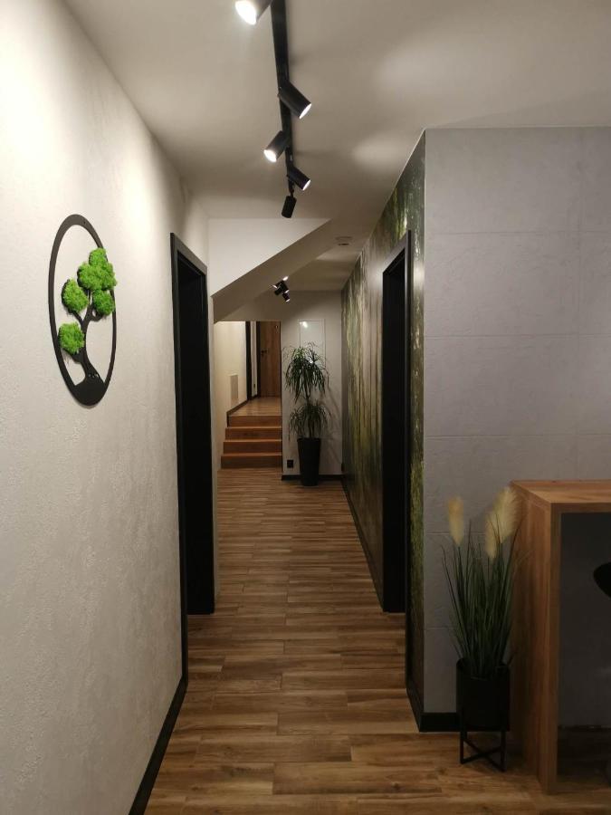 Apartament Skorusinka W Poblizu Chocholowskich Term Witow  Ngoại thất bức ảnh